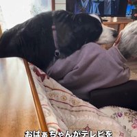 「構って～」と甘える姿が可愛い♡