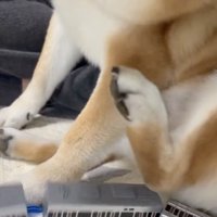 2両目に足がゴンッ