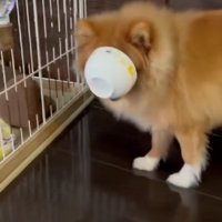 ゆっくり、確実に前進