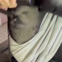 ストッキングをかぶっている！？