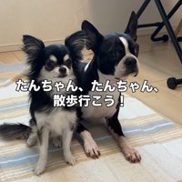 たま君と女の子の成長4