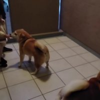 大喜びの兄姉でした♡