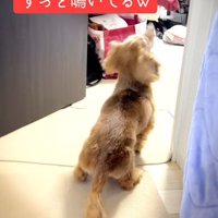 隣の部屋にいると勘違い
