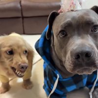 2匹の温度差がすごい（笑）