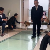 リングドッグを務めるじろー君4