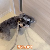 「お散歩楽しみだな～♪」
