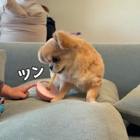 指でツンツン♪