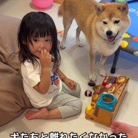 姪っ子ちゃんとリブくん