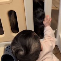 バオバオくんに触りたい赤ちゃん