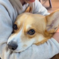 尊い2人の姿にホッコリ！