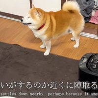 ホームベーカリーの隣に陣取る