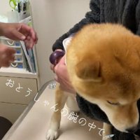 きた！！