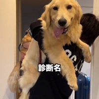 病院へ行ったちあちゃん