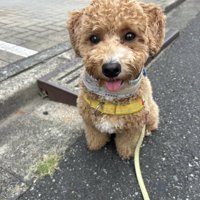 ニコニコ