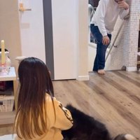 完全に思考停止状態