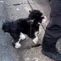 「おかえり！会いたかったよー♡」