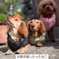 お散歩も大好きに♪