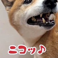 そのギャップがたまらない！？
