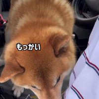 「本当の本当に現実？」