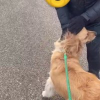 またすぐに会えるね