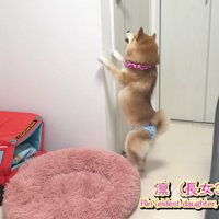 感情が爆発！！
