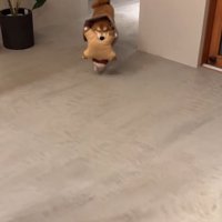 歩いてきた長三郎くん