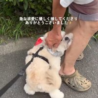 足に体を寄せてくる犬を撫でる男性
