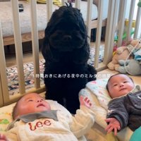 双子のそばに座る犬