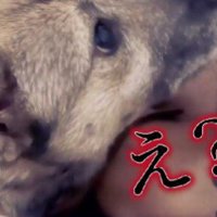 不思議そうなアッチャン