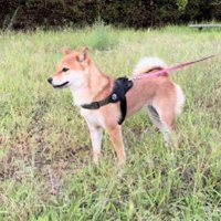 凛々しい表情にほっこり