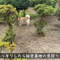秘密基地の見回りも欠かしません