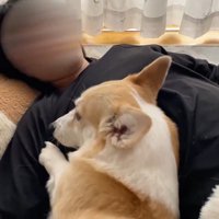 再び「撫でて」とホリホリ…