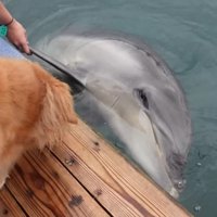 間近で観察