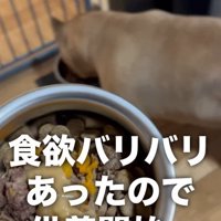 意外にも元気そう