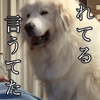 ママを見るシェリーちゃん