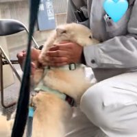 相思相愛だね！！