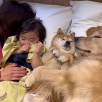 平和なワンシーンにホッコリ