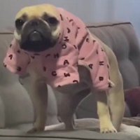 「いつまで放っておくの？」