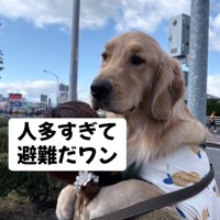 人混みにビックリ