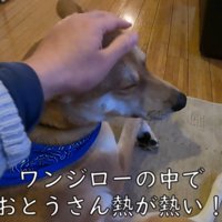 幸せそうに甘える姿にキュン♡