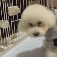 にこちゃんとの初対面