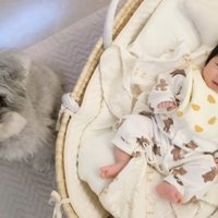 ずっと隣にいてくれるトトちゃん