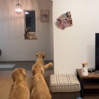 ゾロゾロと玄関へ