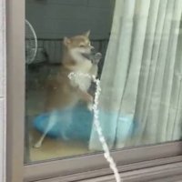 まさかの