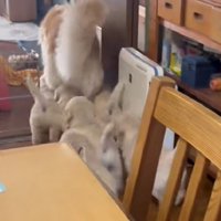 幸せな光景にホッコリ