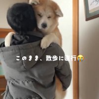 散歩をせがまれるパパ