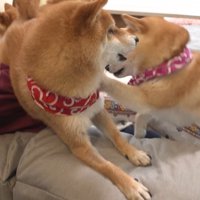 仕返しのつもりでパンチ！