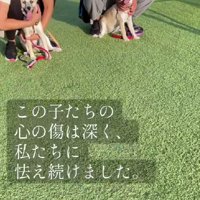 なかなか心を開けなかった