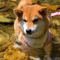 「冷たくて気持ちいい～♪」
