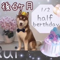 るい君の成長記録6